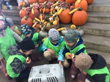 La Piata Fructe si Legume de sezon